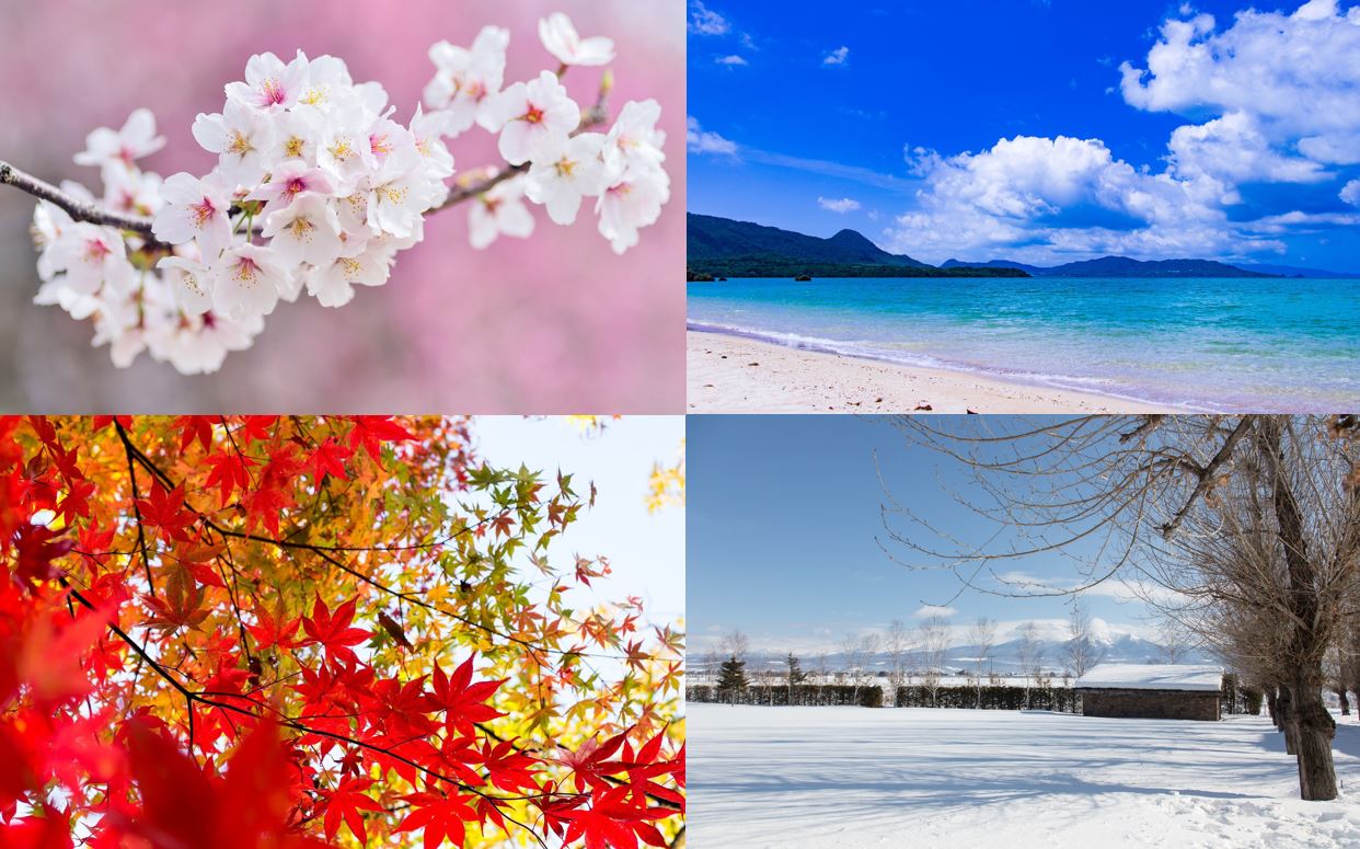 日本の四季：春夏秋冬
